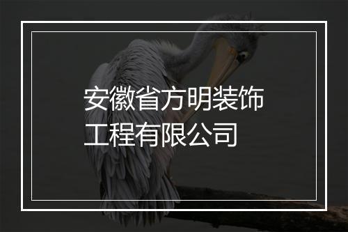 安徽省方明装饰工程有限公司