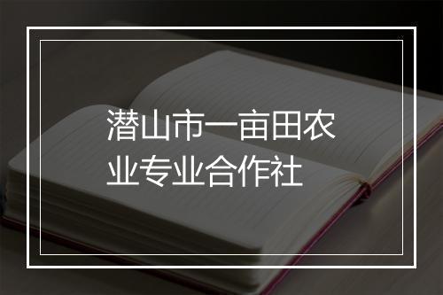 潜山市一亩田农业专业合作社