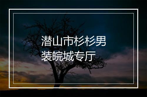 潜山市杉杉男装皖城专厅