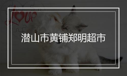 潜山市黄铺郑明超市