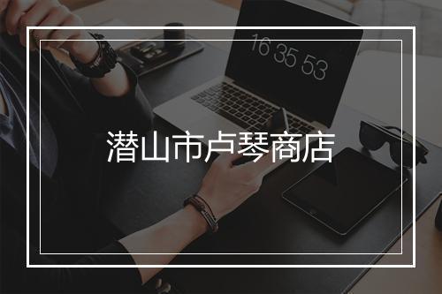 潜山市卢琴商店
