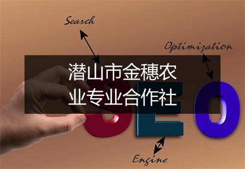 潜山市金穗农业专业合作社