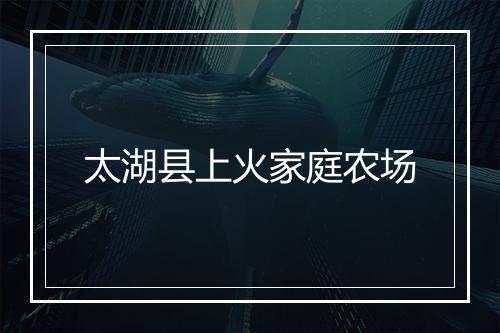 太湖县上火家庭农场