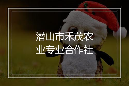 潜山市禾茂农业专业合作社