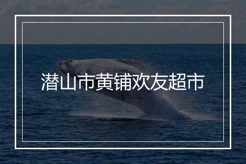 潜山市黄铺欢友超市