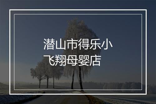 潜山市得乐小飞翔母婴店