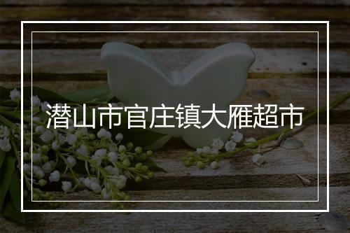 潜山市官庄镇大雁超市