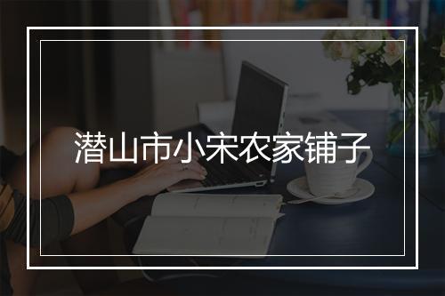 潜山市小宋农家铺子