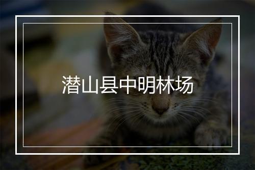 潜山县中明林场