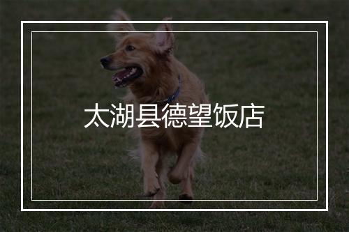 太湖县德望饭店