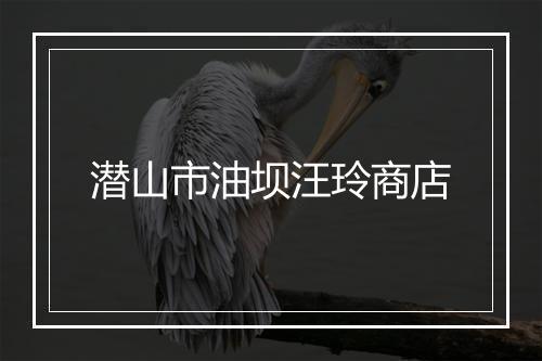 潜山市油坝汪玲商店
