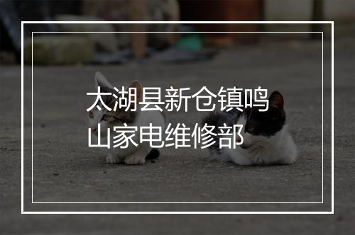 太湖县新仓镇鸣山家电维修部