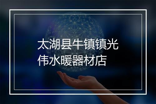 太湖县牛镇镇光伟水暖器材店