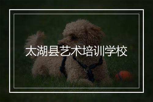 太湖县艺术培训学校