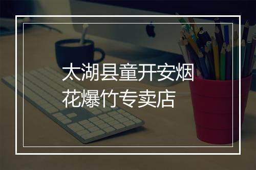 太湖县童开安烟花爆竹专卖店