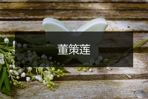 董策莲