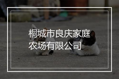桐城市良庆家庭农场有限公司