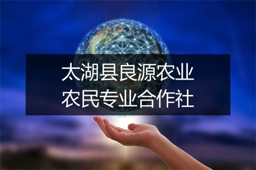太湖县良源农业农民专业合作社