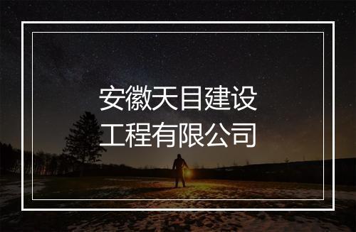安徽天目建设工程有限公司
