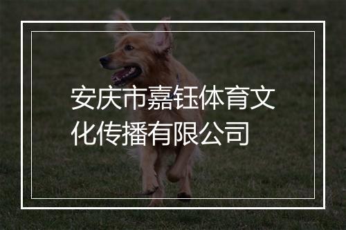 安庆市嘉钰体育文化传播有限公司