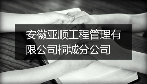 安徽亚顺工程管理有限公司桐城分公司