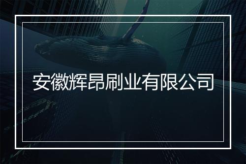 安徽辉昂刷业有限公司