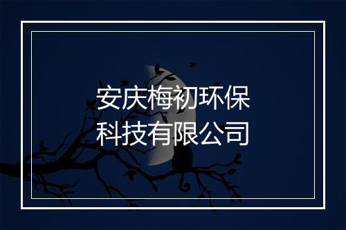 安庆梅初环保科技有限公司