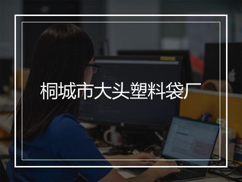 桐城市大头塑料袋厂