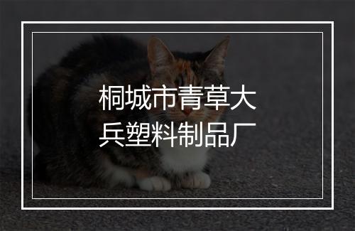 桐城市青草大兵塑料制品厂