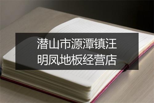 潜山市源潭镇汪明凤地板经营店