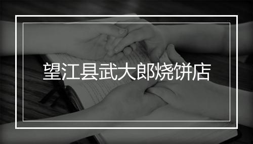 望江县武大郎烧饼店