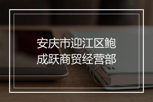 安庆市迎江区鲍成跃商贸经营部