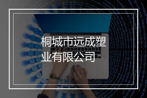 桐城市远成塑业有限公司