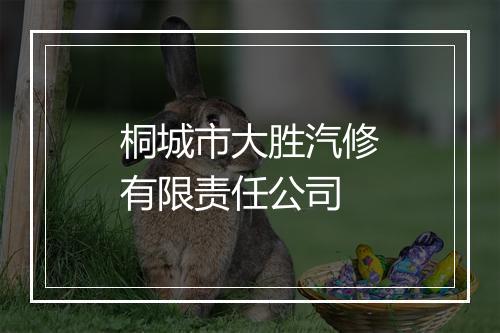 桐城市大胜汽修有限责任公司