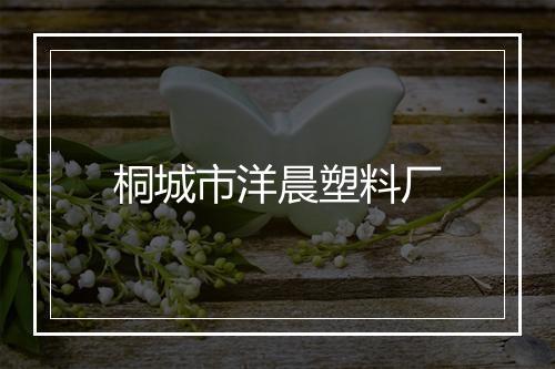 桐城市洋晨塑料厂