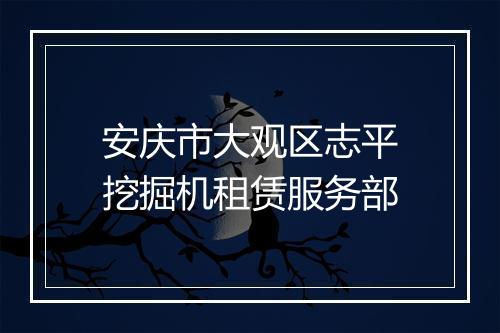 安庆市大观区志平挖掘机租赁服务部