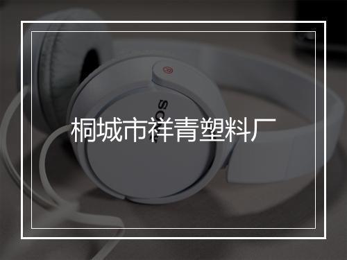 桐城市祥青塑料厂