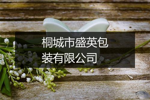 桐城市盛英包装有限公司