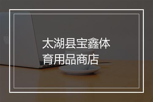 太湖县宝鑫体育用品商店