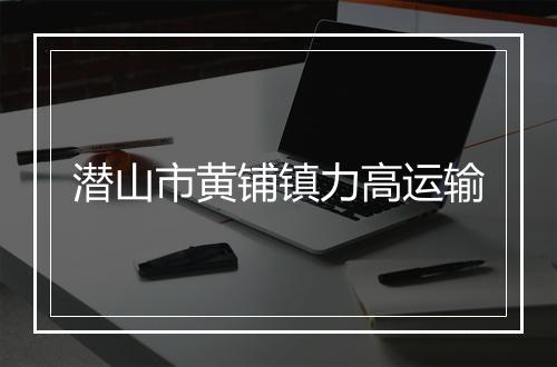 潜山市黄铺镇力高运输