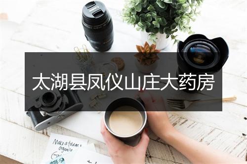 太湖县凤仪山庄大药房