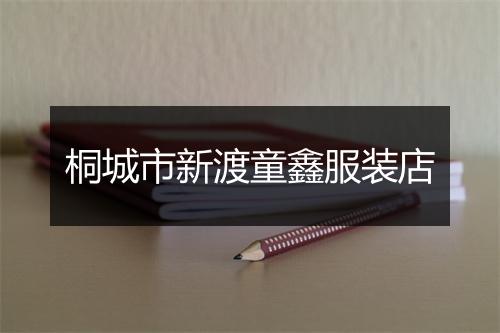 桐城市新渡童鑫服装店