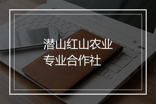 潜山红山农业专业合作社