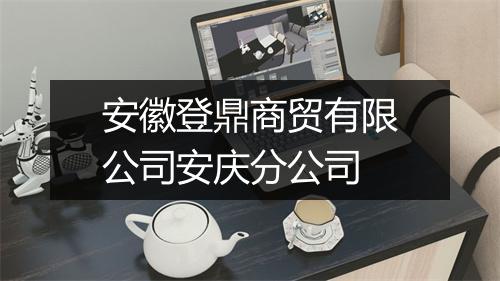 安徽登鼎商贸有限公司安庆分公司