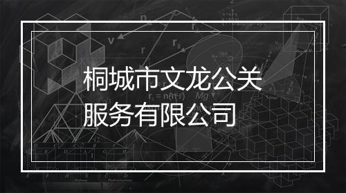 桐城市文龙公关服务有限公司