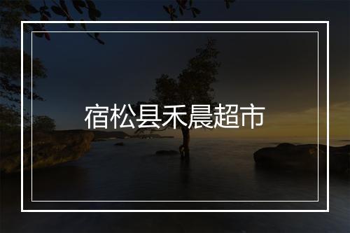 宿松县禾晨超市
