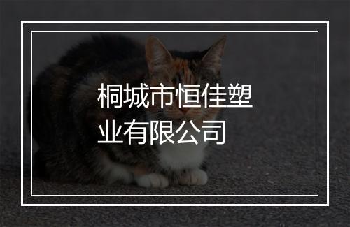桐城市恒佳塑业有限公司