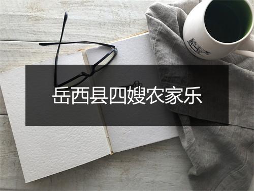 岳西县四嫂农家乐