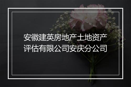 安徽建英房地产土地资产评估有限公司安庆分公司