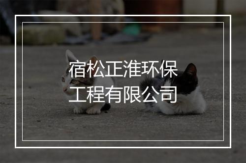 宿松正淮环保工程有限公司